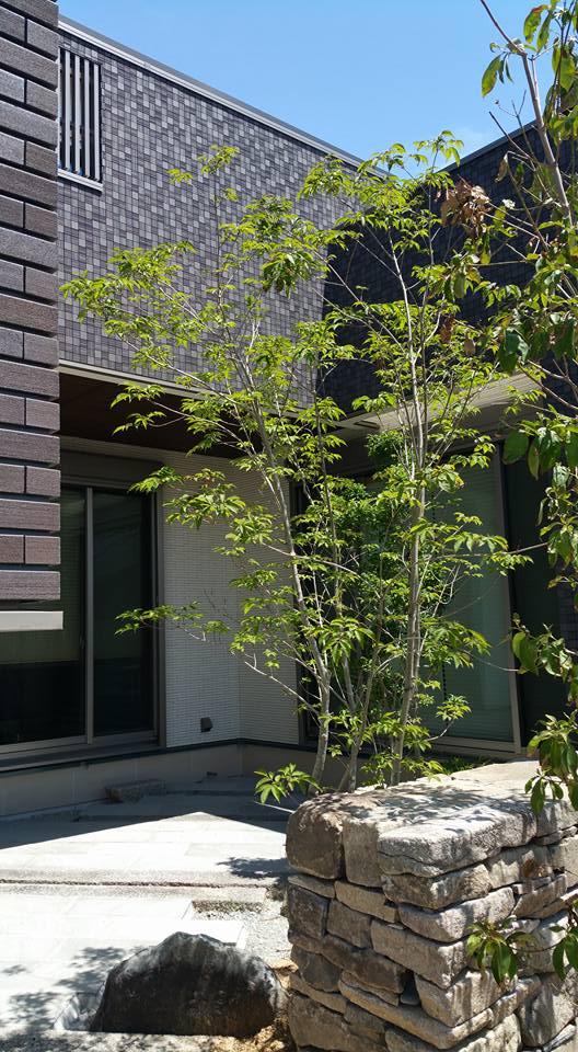 社長の家　お金持ちの家　豪邸を手掛ける建築家　フリーダム　フリーダム設計事務所　谷尻誠　吉田愛　関谷　設計事務所